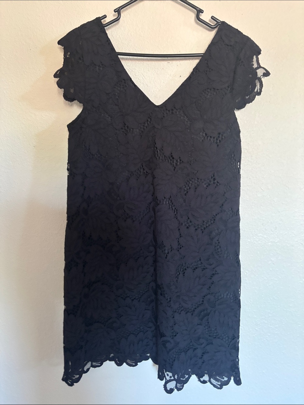 BB Dakota Black Floral Lace V-Neck Mini Dress